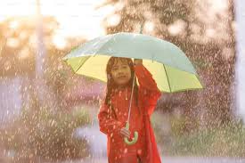 IMD Predicts Widespread Rain Across 13 State rain
